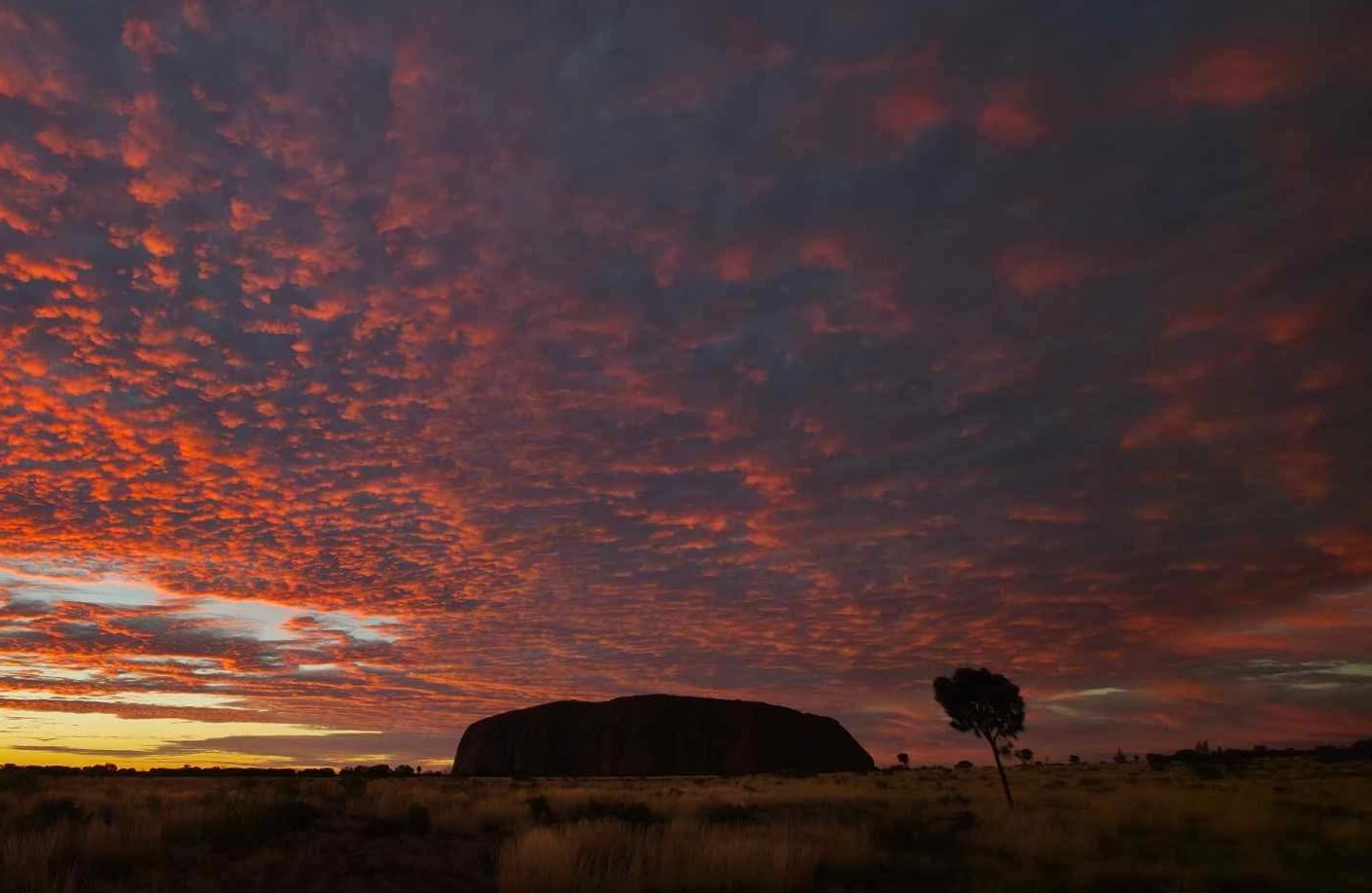 Kata Tjuta Tour